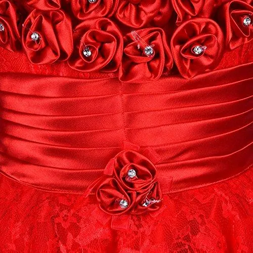 Wish Karo Baby Girls Frock Dress (fr104rd-12-18 Mths_Red_12 - 18 Months)